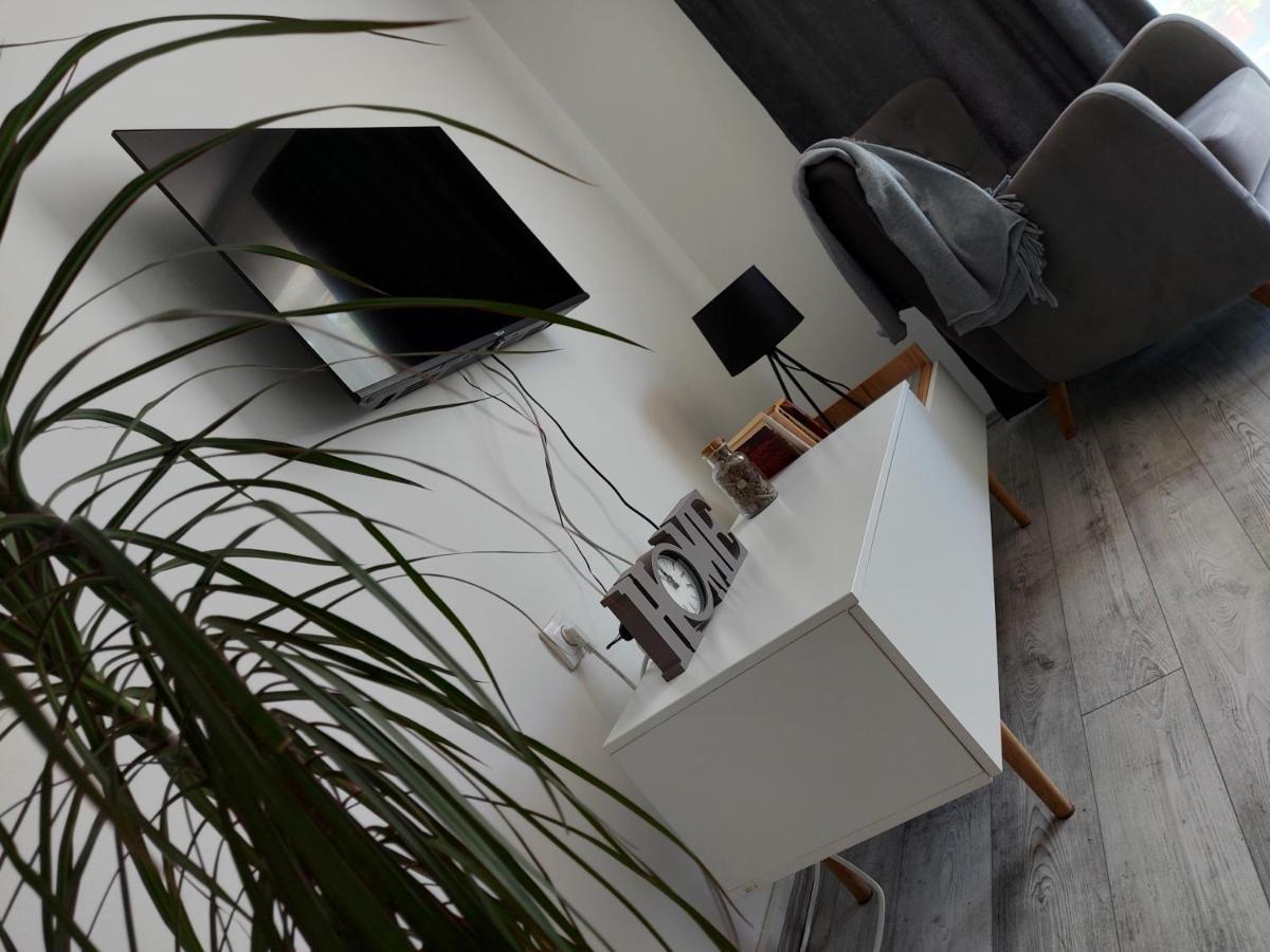 Fenix Apartment & Rooms Vinci Luaran gambar